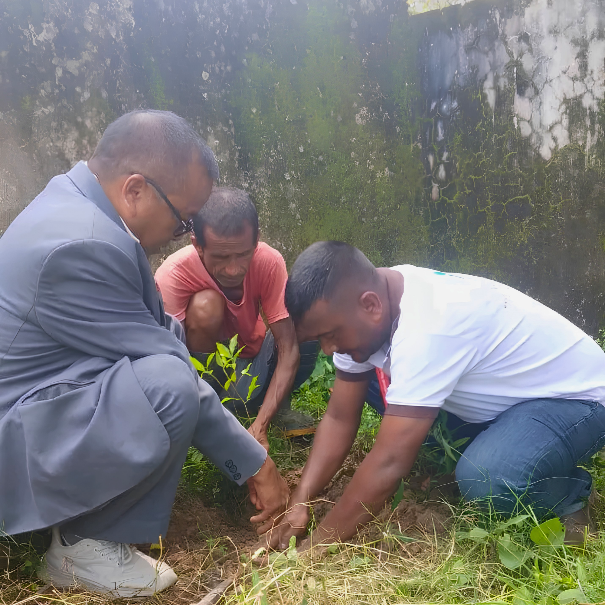 Plantation drive